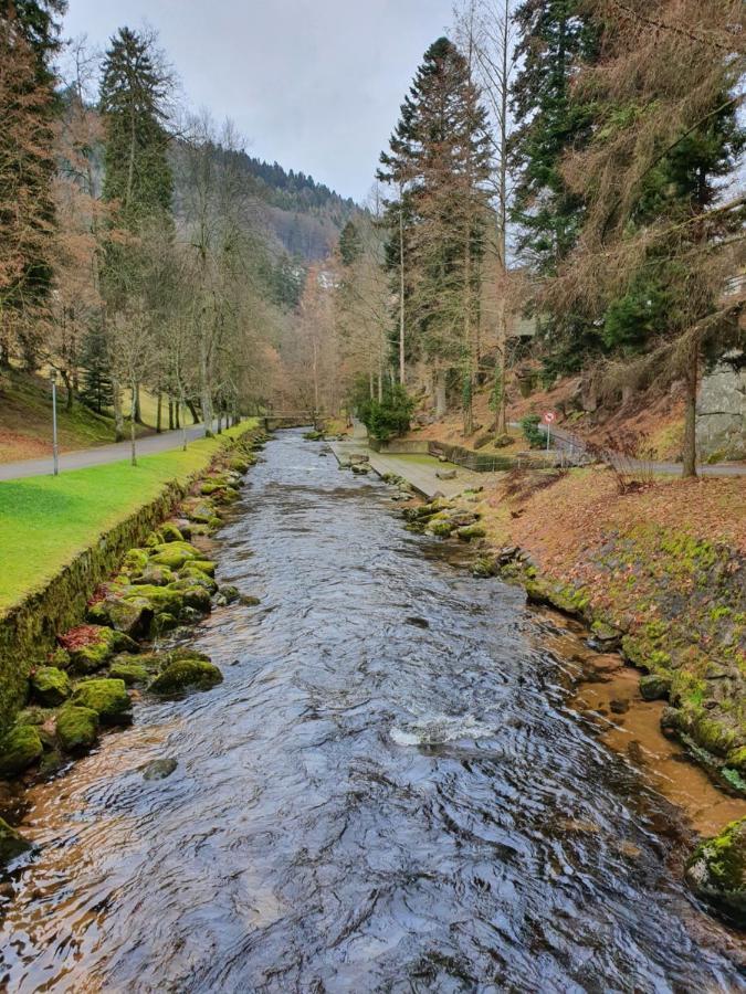 Stuermlesloch * Bad Wildbad