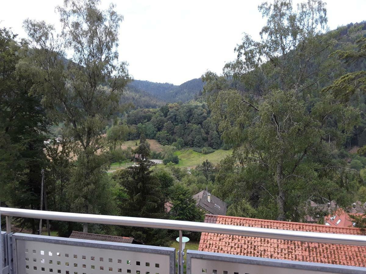 Apartment Stürmlesloch Bad Wildbad